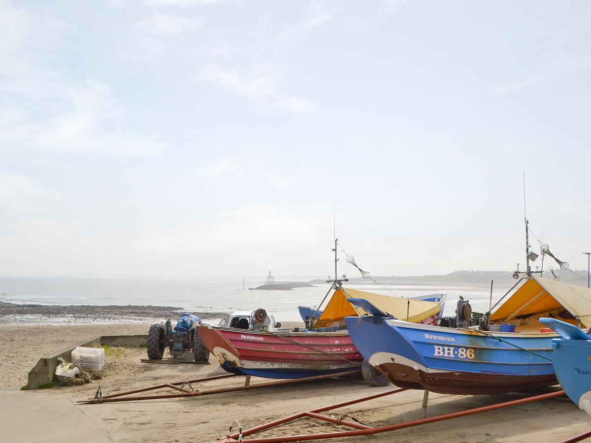 Fisherman'S Cottage نيوبيغين-باي-ذا-سي المظهر الخارجي الصورة